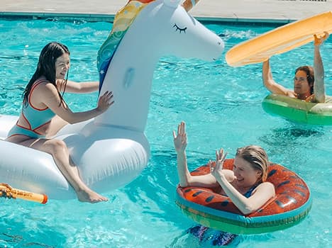 Whack Them & Crack Them: